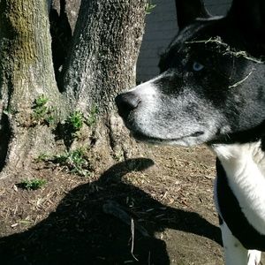 Meet your Posher, Louise